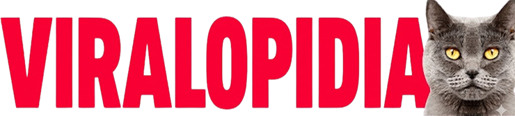 Viralopidia-Entertainment, trend culture, and digital storytelling.